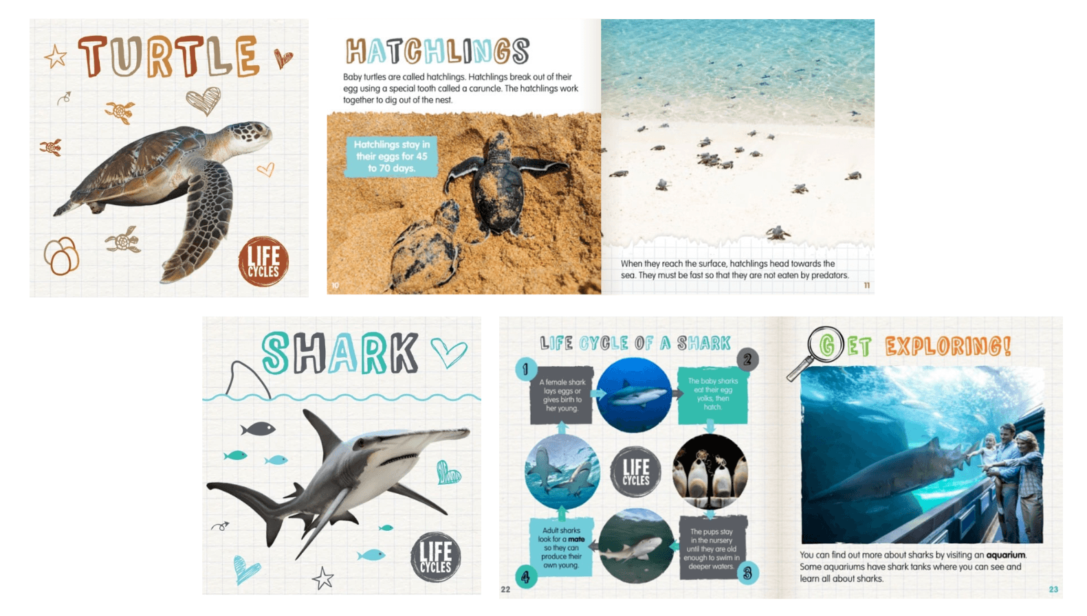 Ocean books for kids - Life cycle series