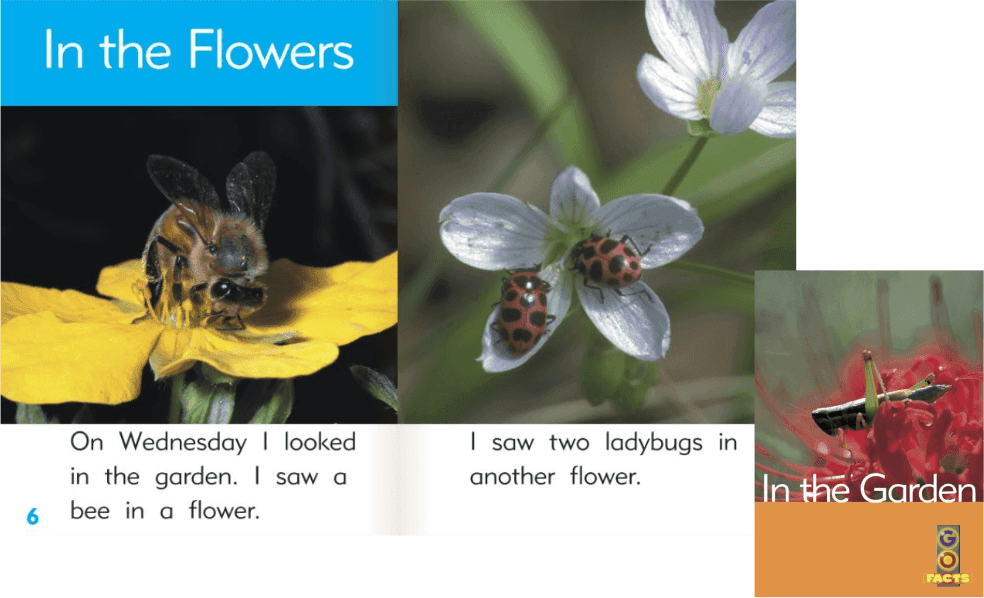 Gardening books for children - In the Garden