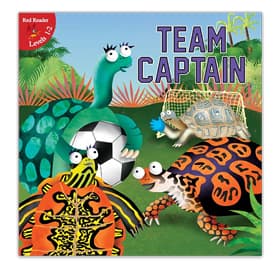Team Captain children's soccer book read-aloud audio